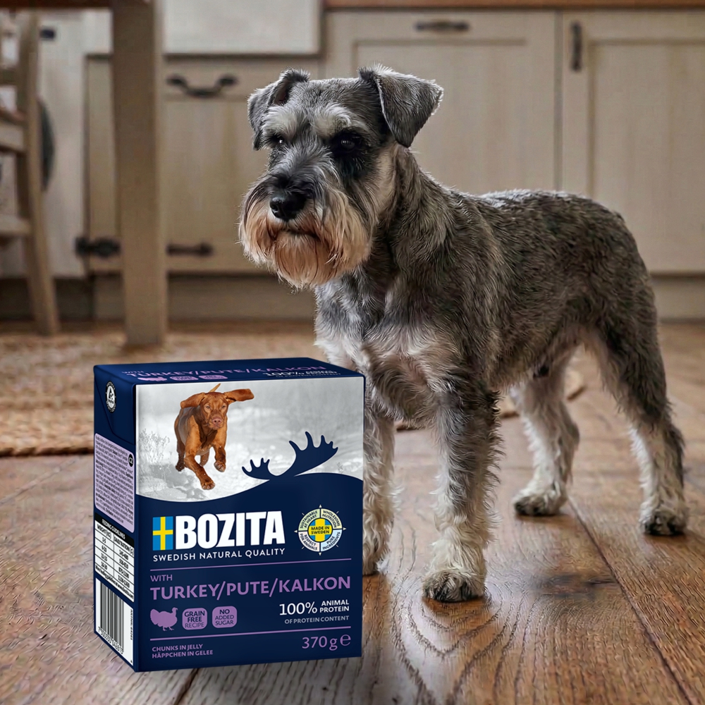Karma Bozita indyk w galarecie dla psa 370g mokra